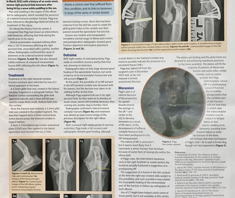 ‘PIGG’ Veterinary Times journal